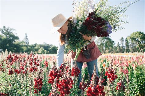 Southern Oregon Flower Farmers - Idyllwild