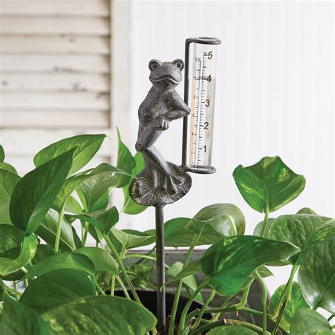 Frog Rain Gauge Garden Pick - Box of 2 | Farmhouse Décor