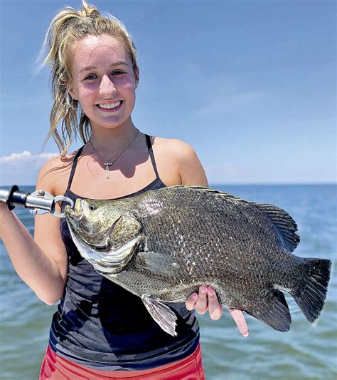 Species-Tripletail-02 - Mississippi Sportsman