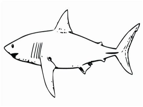 10 Best Megalodon Coloring Pages