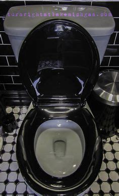 15 Best Black Toilet Seats ideas | black toilet seats, black toilet, toilet