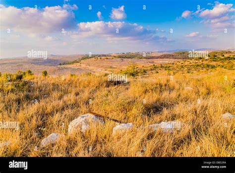 Neot Kedumim, the Biblical Landscape Reserve in Israel is a Biblical ...