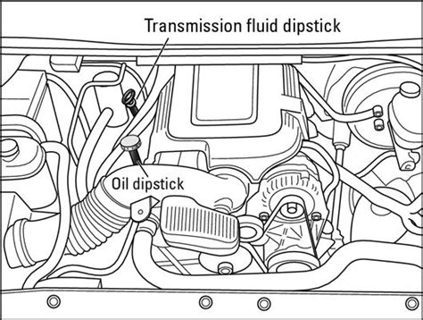 How to Check Gearbox Oil Level - BelenrtAtkinson