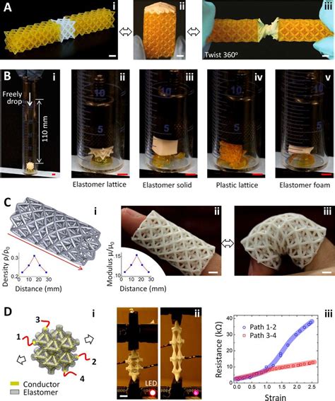 Applications of elastomer-lattice structures. (A) An Octet elastomer ...