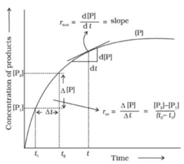 Chemical kinetics Archives - The Fact Factor