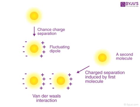 Van Der Waals Forces (Intermolecular Bonding) - Definition & Examples ...