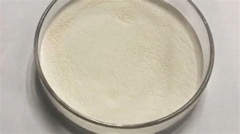 Phytase Enzyme Powder at best price in Mumbai by Panchsheel Organics ...