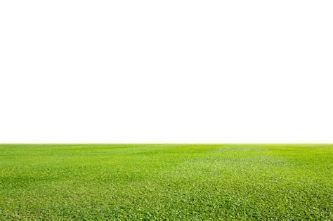 Premium Photo | Fresh green grass lawn isolated on white background