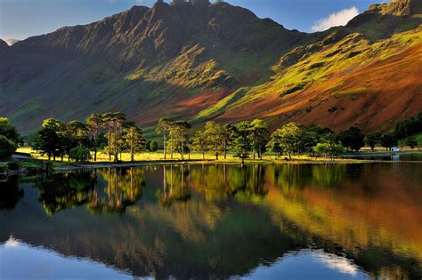 The Buttermere pines | Lake district, Lake district national park, Lake