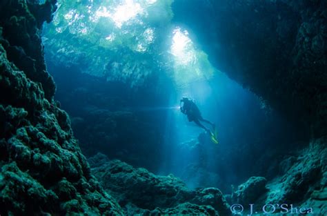 10 Dive Sites you Must See in the Solomon Islands - Underwater ...