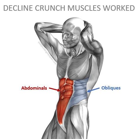 Decline Crunches vs Decline Sit Ups: Difference & Proper Form