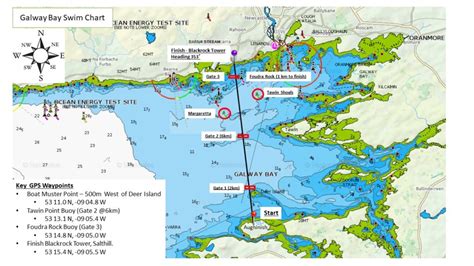 BAY SWIM CHART / MAP – Frances Thornton Memorial