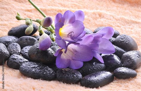 Zen or Spa Stones with flower Stock-Foto | Adobe Stock