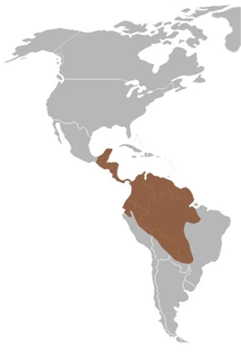 Jaguar Habitat Map