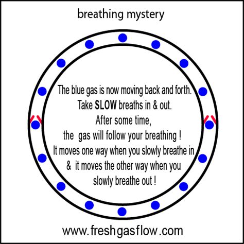 Circle breathing system mystery - Fresh gas flow