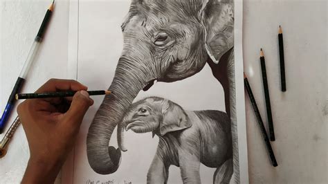 mother and baby elephant drawing | realistic elephant drawing step by ...