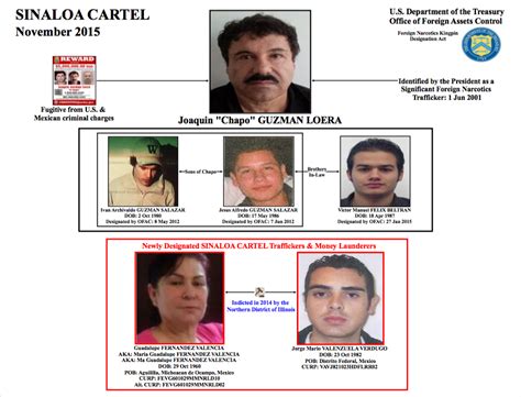 Sinaloa cartel highest-ranking woman arrested - Business Insider