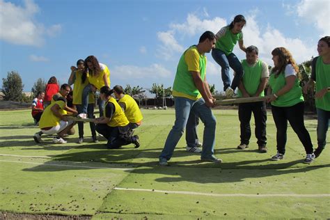 Do Team Building Exercises Really Work? - Glide Consulting