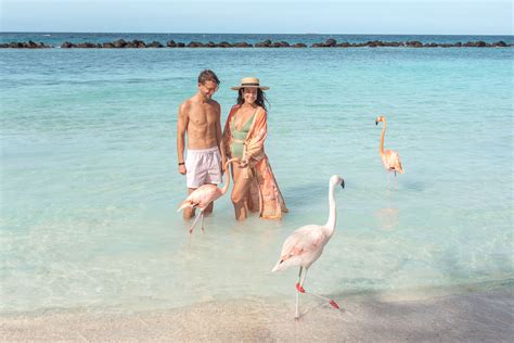 How to Travel to Aruba from America During COVID | Bare Escape