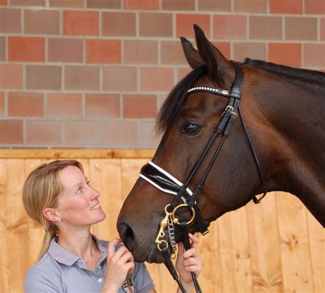 Detailed view | Dyon Dressage Collection | Large crank noseband double ...