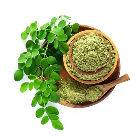 Moringa/ Shigru Leaves Powder Moringa Oleifera | ubicaciondepersonas ...