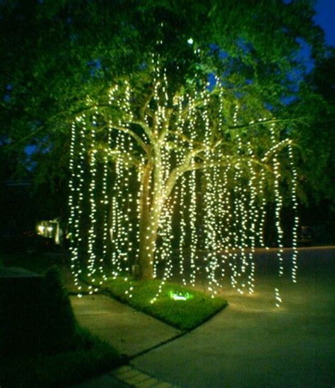 Landscape Lighting | Illuminations Lighting Design | Holiday lights ...