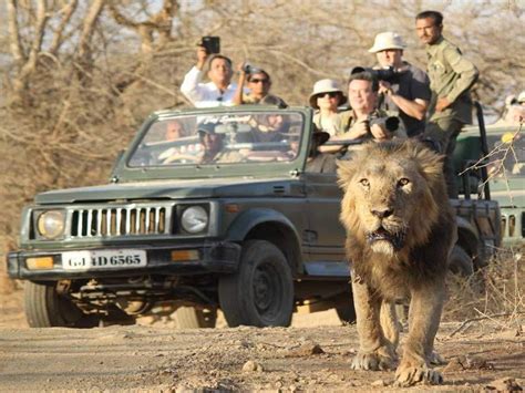 5 Best Places to Visit in Gir National Park, Things to Do & Sightseeing ...