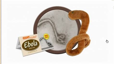 Ebola plush toys fly off the shelf for Connecticut company