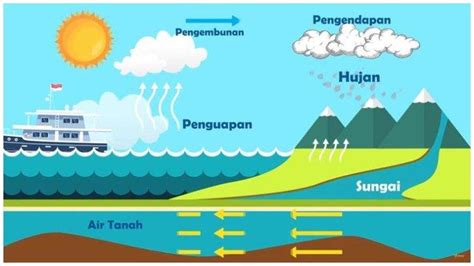 Siklus Air Hujan Beserta Gambarnya - IMAGESEE