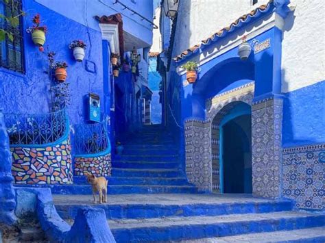 7 Things to do in Chefchaouen City, Morocco's Blue Pearl - See Africa Today