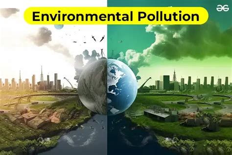 Environmental Pollution Essay