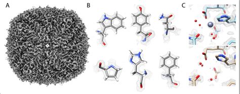 High resolution apoferritin reconstruction. A) Apoferritin density at ...