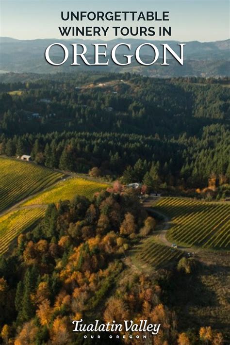 Wine Tours | Oregon travel, Usa travel destinations, Winery tours