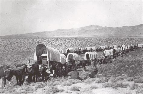 A Rare View INSIDE A Covered Wagon (5 Photos) | Dusty Old Thing