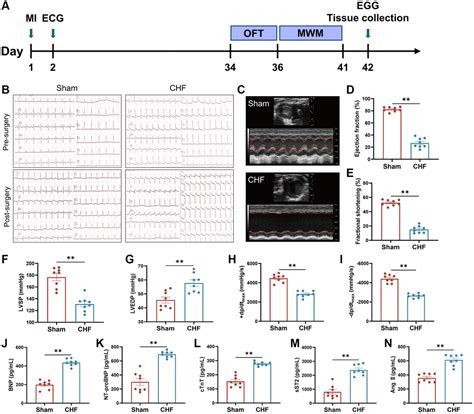 Disorder of neuroplasticity aggravates cognitive impairment via ...