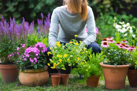 20 Sensory Garden Plants Ideas To Consider | SharonSable