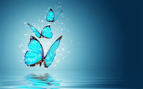 Butterfly Backgrounds For ...pinterest, blue butterfly HD wallpaper ...