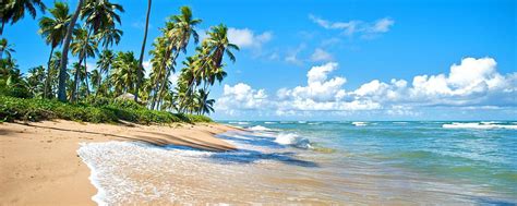 Travel to Praia Do Forte, Brazil - Praia Do Forte Travel Guide - Easyvoyage