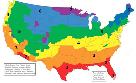 7 Steps to Calculate Attic Insulation - Rescue My Roof