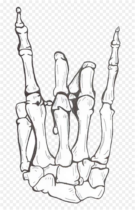 Drawing Human Skeleton Hand Bone - Skull Rock On Hand, HD Png Download ...