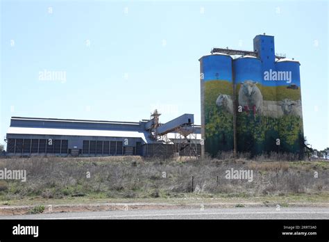 Merriwa Silo Art, Merriwa, New South Wales, Australia Stock Photo - Alamy