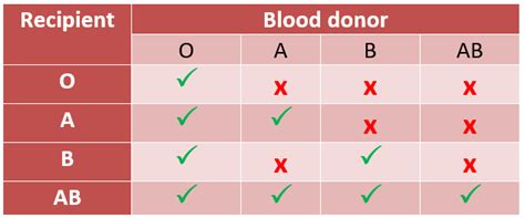 Blood Type 101 - WellTuned by BCBST