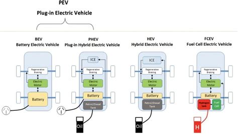 Introduction to Electric Vehicles: BEV vs PHEV vs HEV | Zecar ...