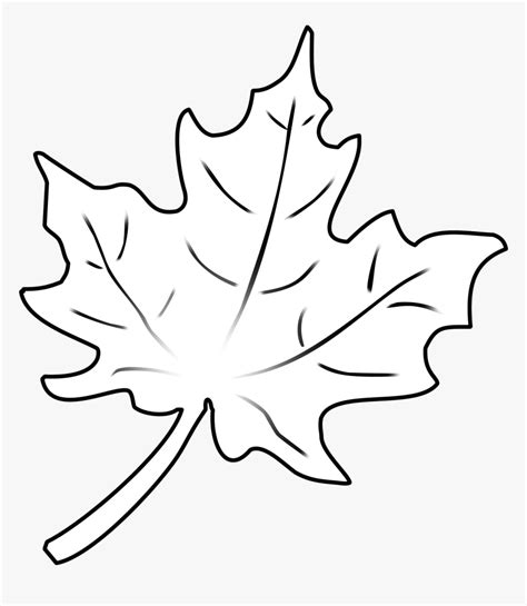 Fall Leaf Outline SVG