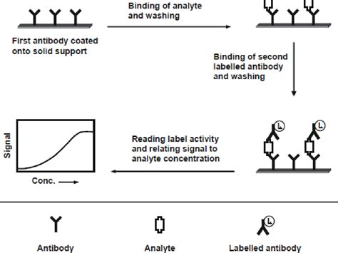 Figure 2 from Immunoassay Methods and their Applications in ...