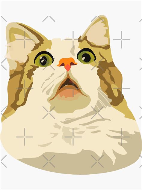 "Surprised Cat Meme, Cursed Cat Images" Sticker for Sale by printify ...