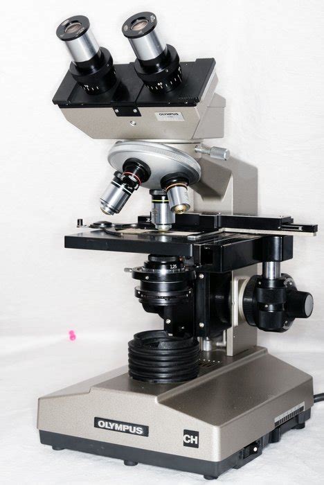 Olympus microscope type CH - Catawiki