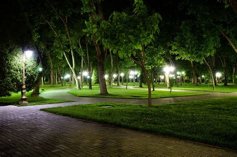 Beautiful Night at the Park, green, nature, park, trees, night, HD ...