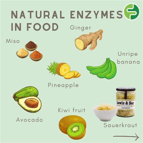 Enzymes In Food