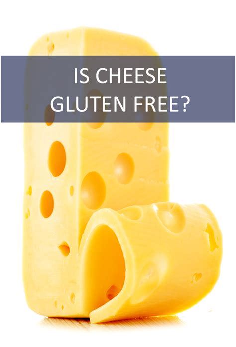 Is Cheese Gluten-Free? - Is This That Food